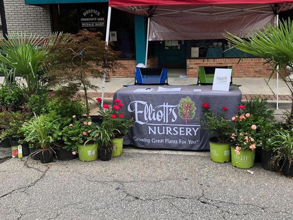 Elliott's Nursery | Kershaw, SC | retail plants for sale